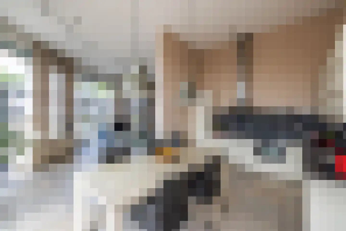 Delftse Jaagpad 9 Leiden thumbnail 22
