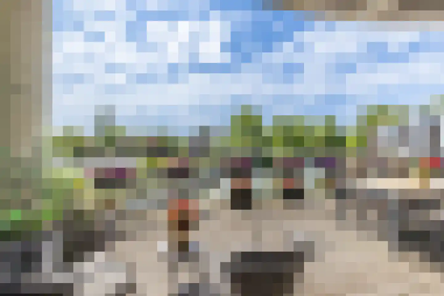 Delftse Jaagpad 9 Leiden thumbnail 27