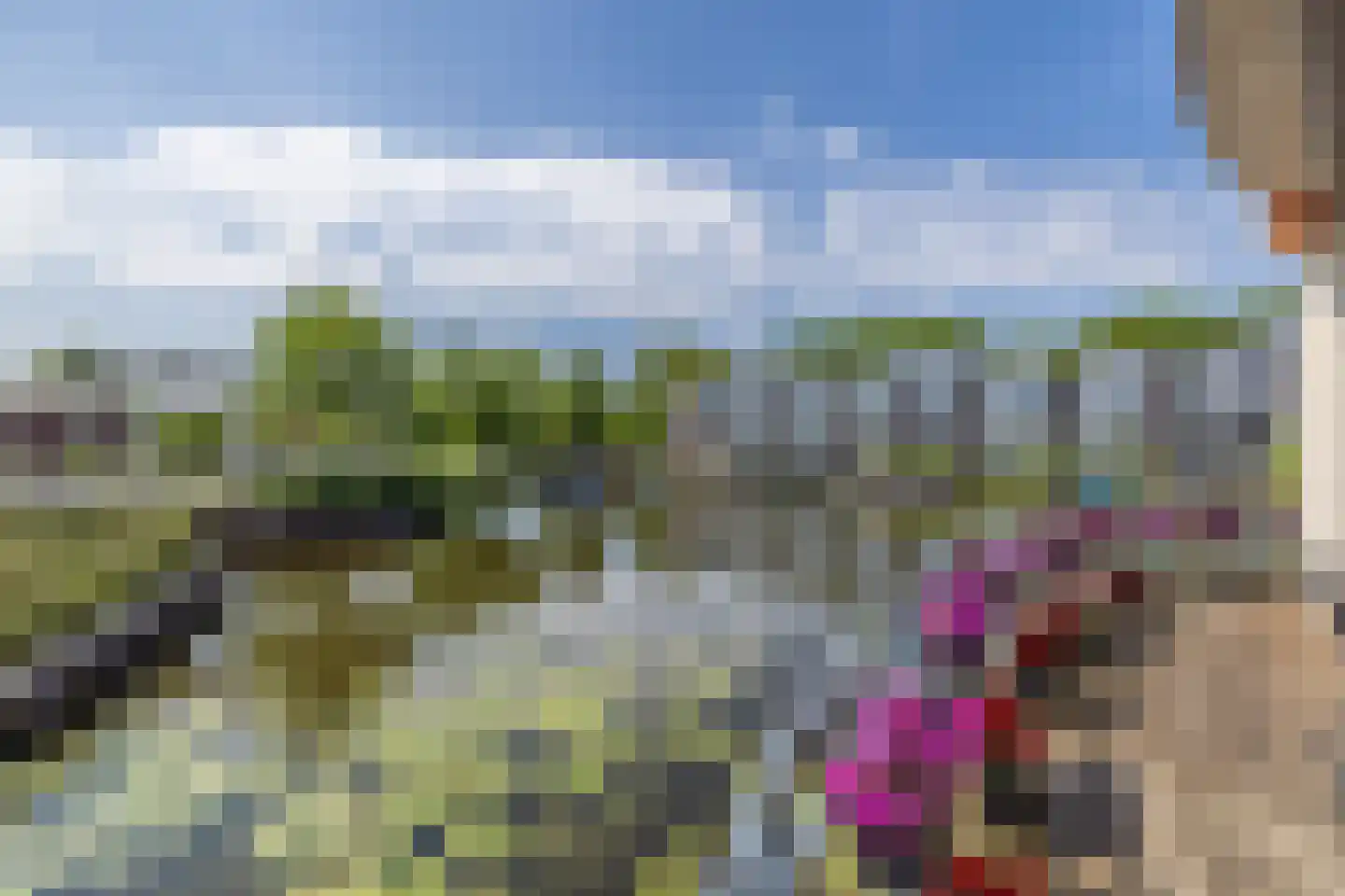 Delftse Jaagpad 9 Leiden thumbnail 28