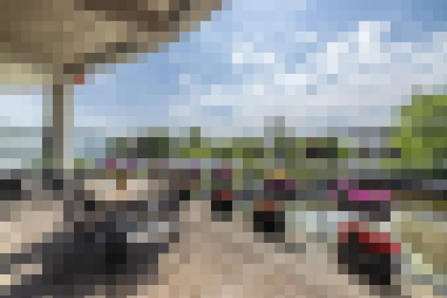 Delftse Jaagpad 9 Leiden thumbnail 30