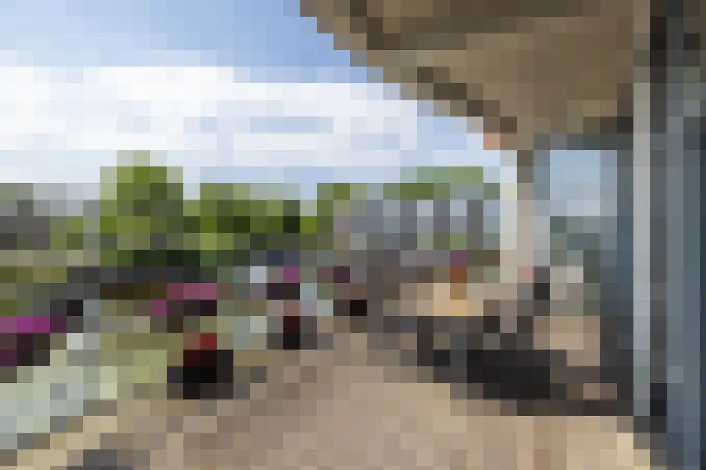 Delftse Jaagpad 9 Leiden thumbnail 31