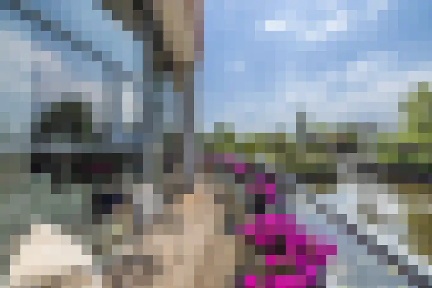 Delftse Jaagpad 9 Leiden thumbnail 33