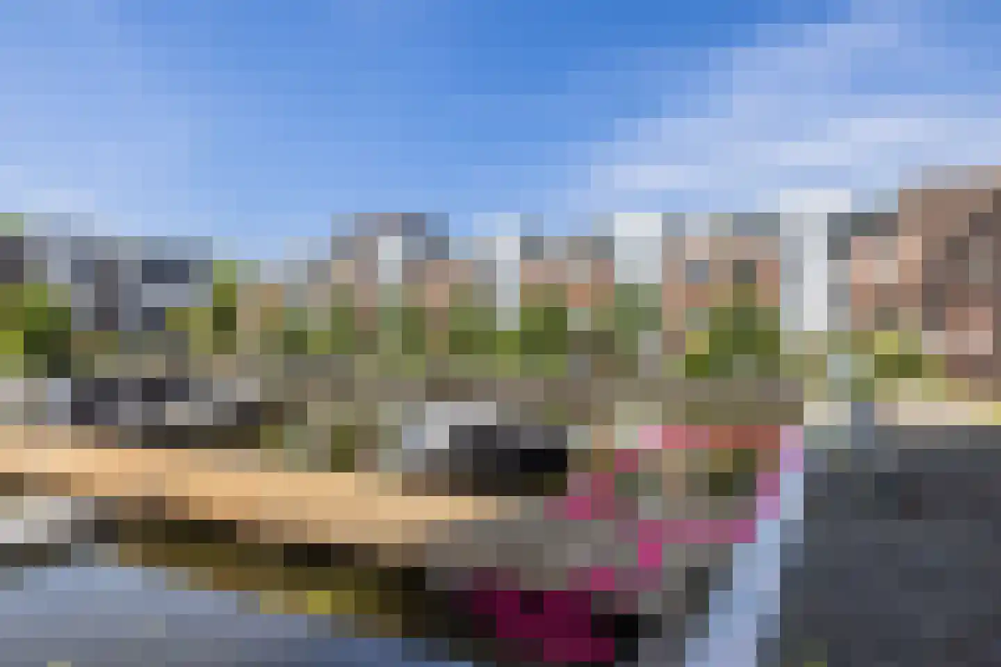 Delftse Jaagpad 9 Leiden thumbnail 36