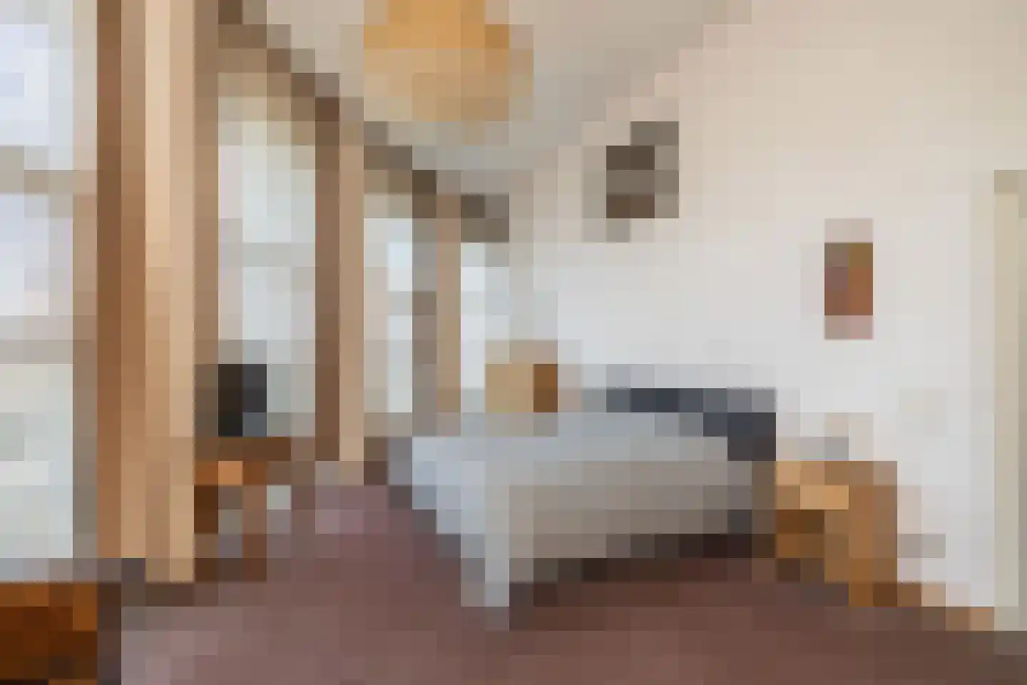 Delftse Jaagpad 9 Leiden thumbnail 49