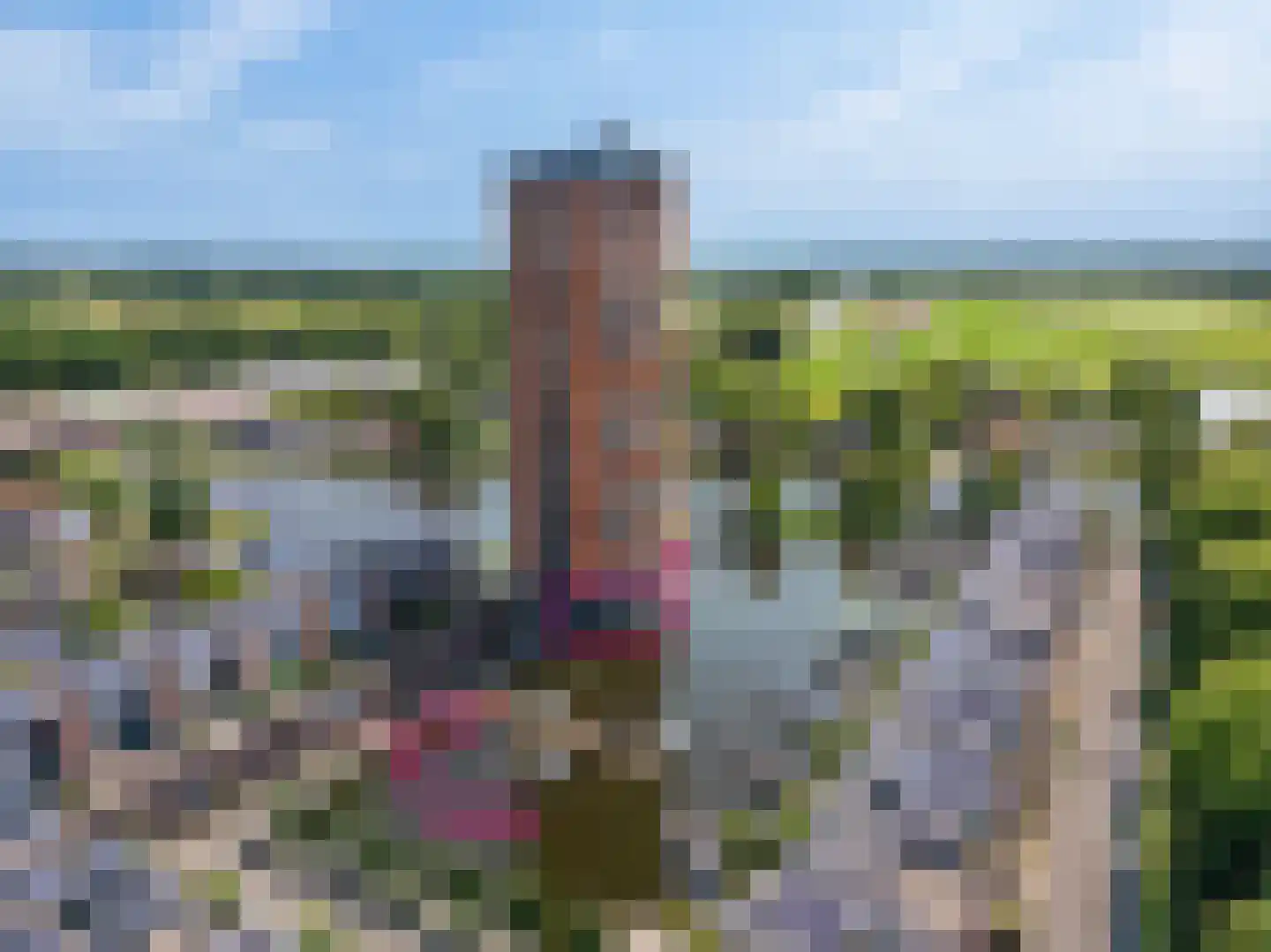 Delftse Jaagpad 9 Leiden thumbnail 5