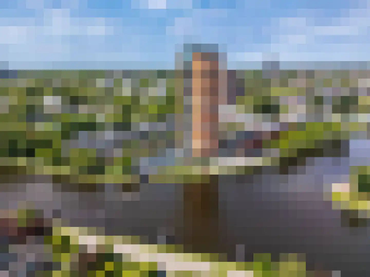 Delftse Jaagpad 9 Leiden thumbnail 59