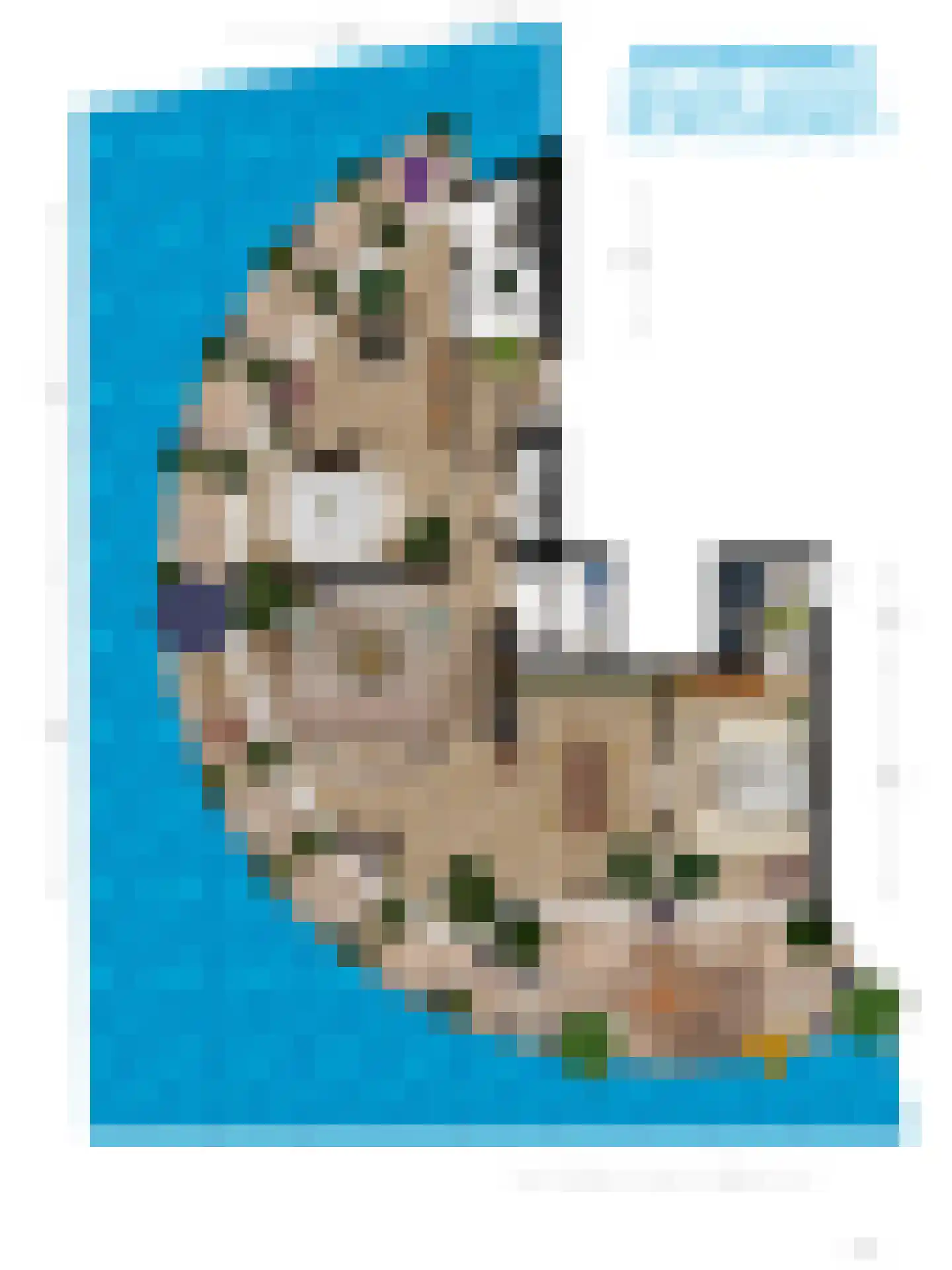 Delftse Jaagpad 9 Leiden thumbnail 63