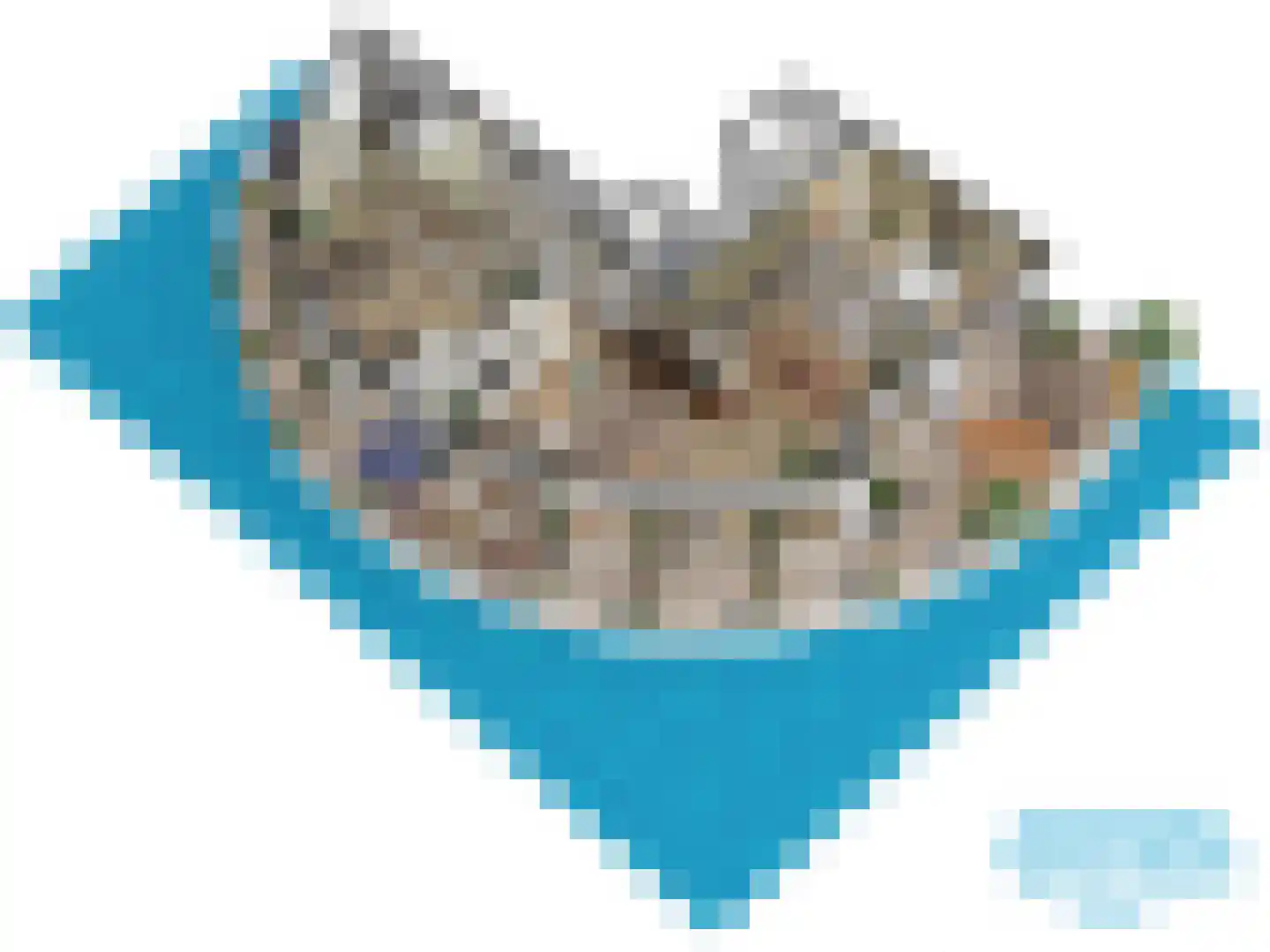 Delftse Jaagpad 9 Leiden thumbnail 67