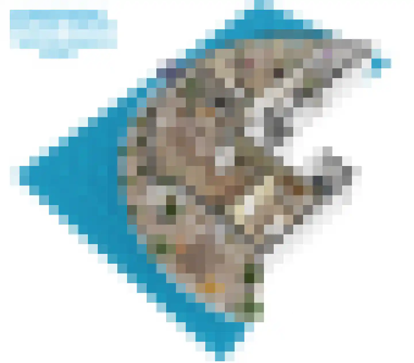 Delftse Jaagpad 9 Leiden thumbnail 68