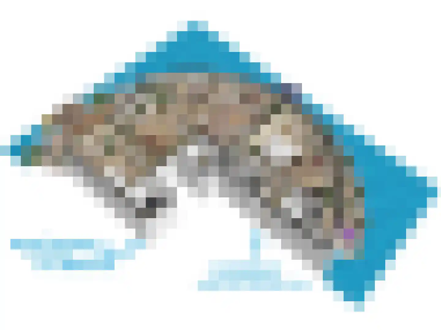 Delftse Jaagpad 9 Leiden thumbnail 69