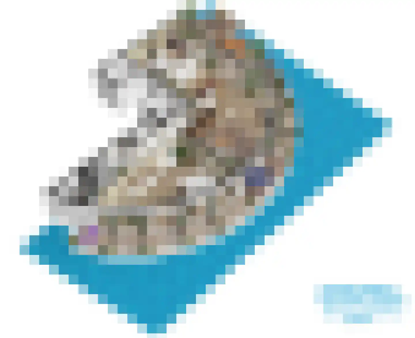 Delftse Jaagpad 9 Leiden thumbnail 70