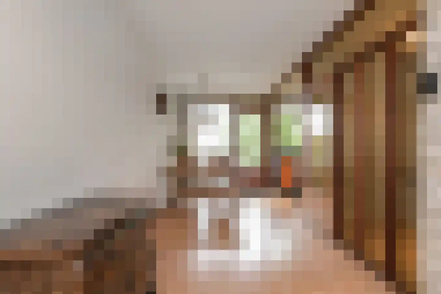 Delftsekade 29 A Leidschendam thumbnail 18