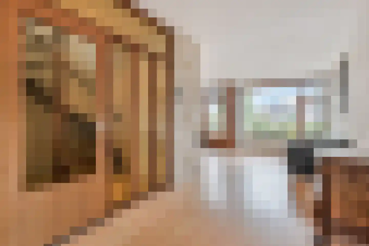 Delftsekade 29 A Leidschendam thumbnail 9