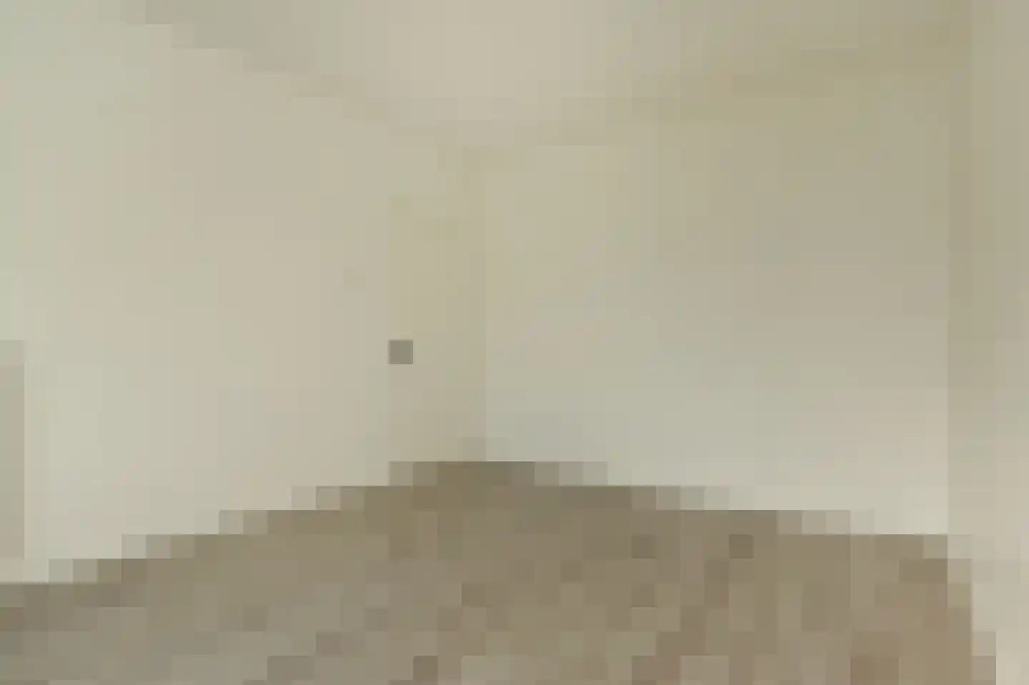 Delftselaan 114 Den Haag thumbnail 21