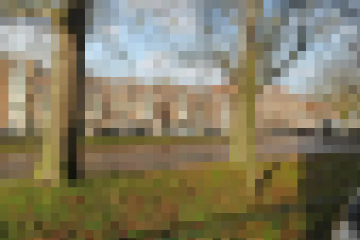 Delftselaan 114 Den Haag thumbnail 28