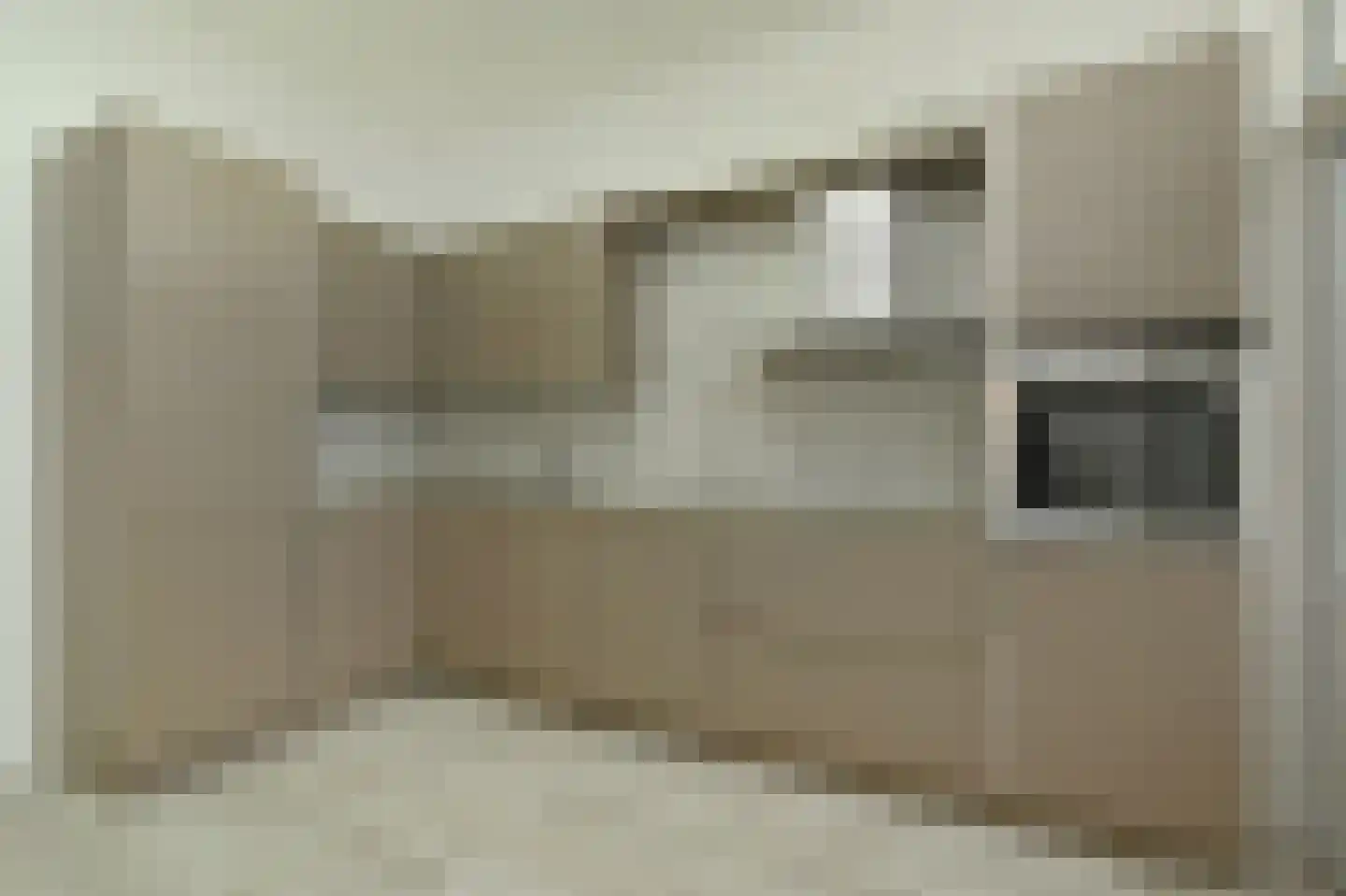 Delftselaan 114 Den Haag thumbnail 8