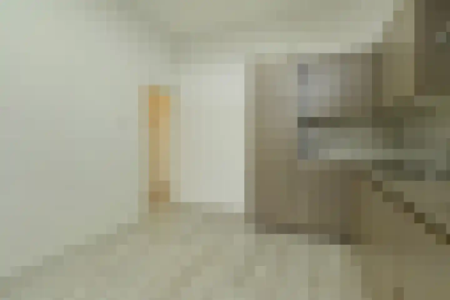 Delftselaan 114 Den Haag thumbnail 9