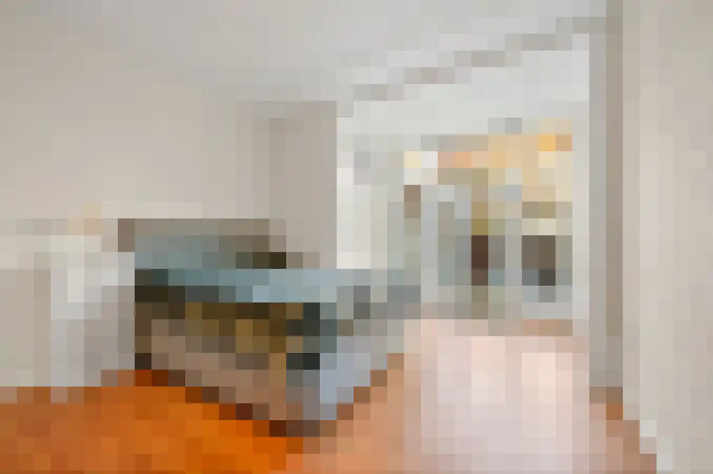 Delftselaan 115 Den Haag thumbnail 14