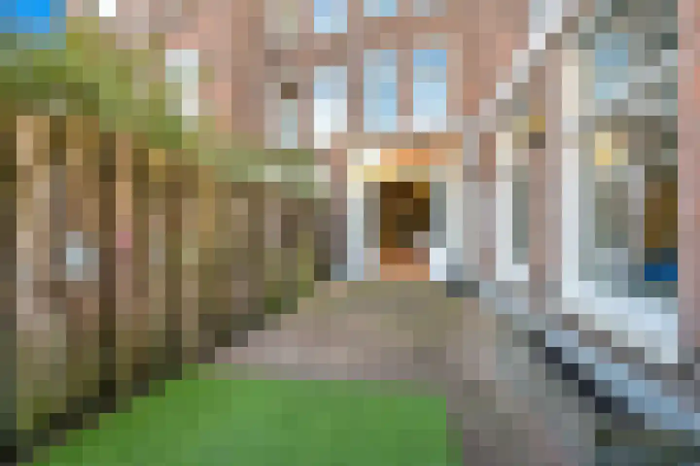 Delftselaan 115 Den Haag thumbnail 19