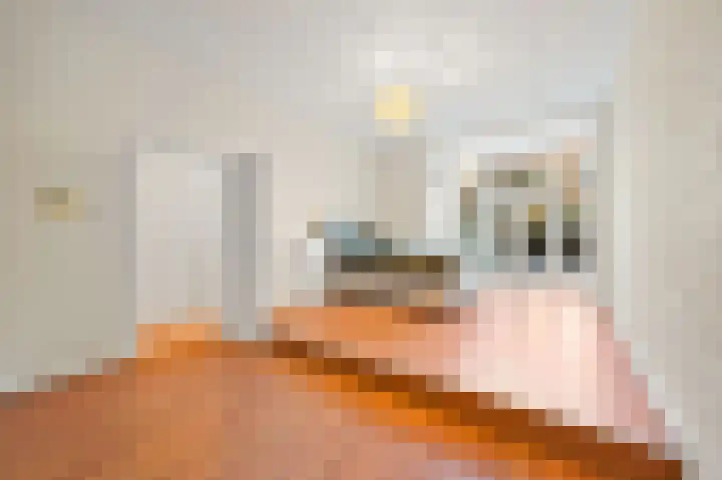 Delftselaan 115 Den Haag thumbnail 5