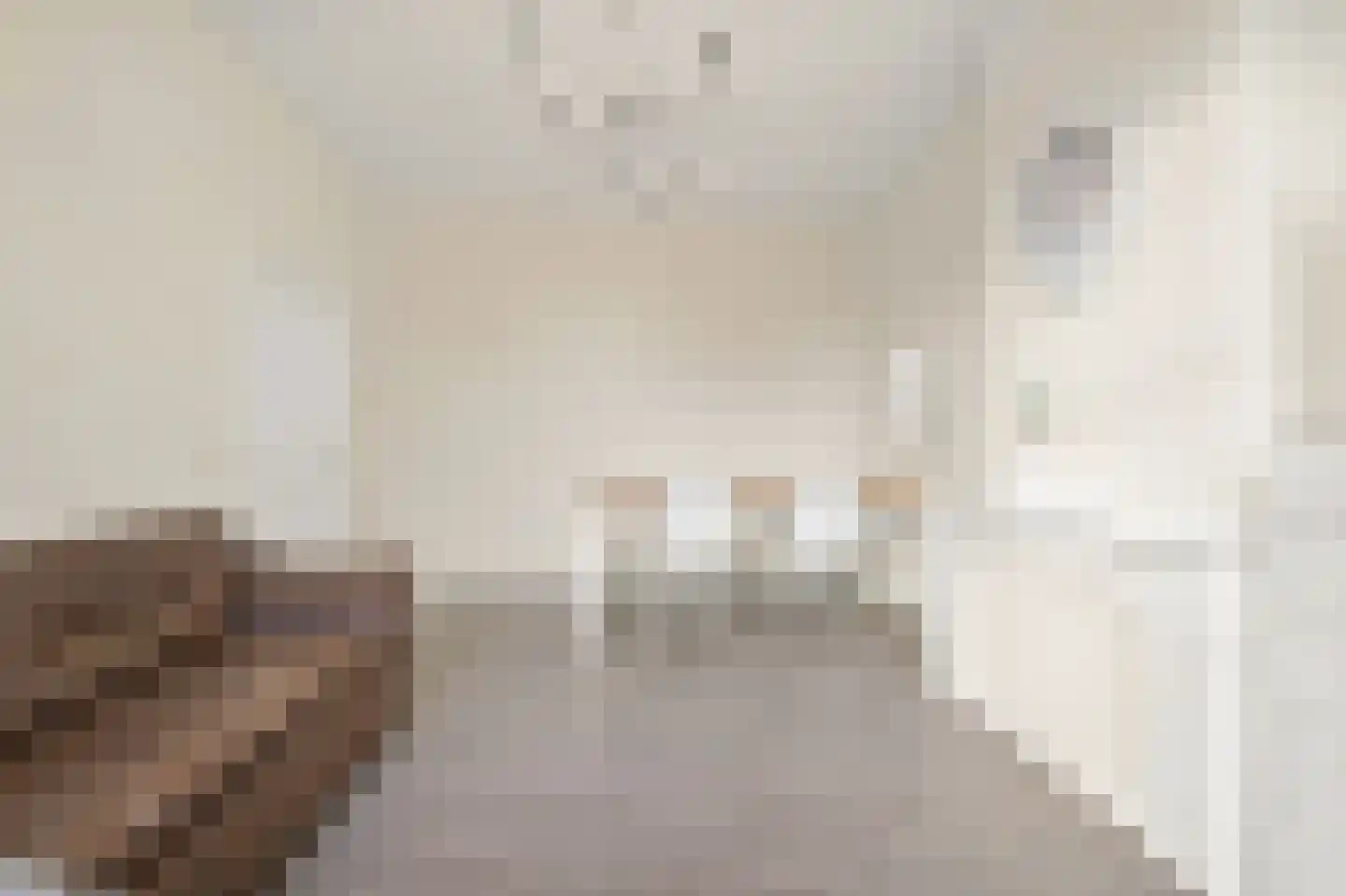 Delftselaan 115 Den Haag thumbnail 8