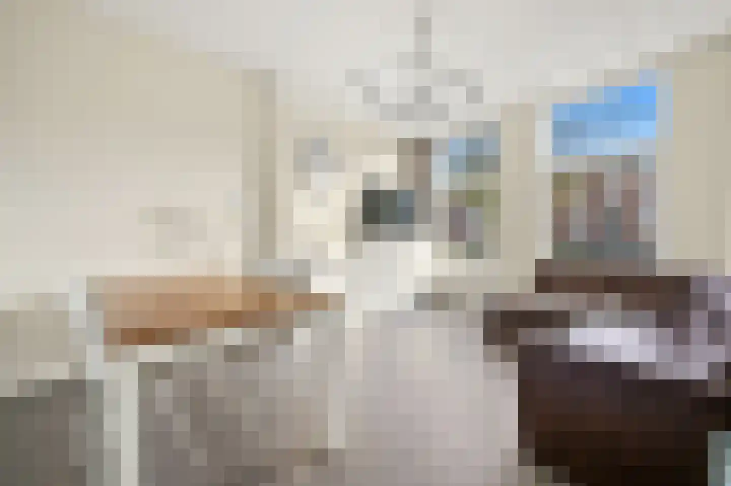 Delftselaan 115 Den Haag thumbnail 9