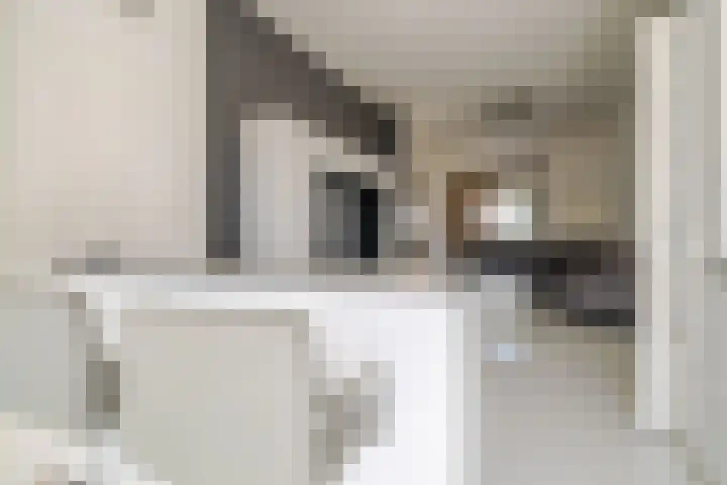 Delftselaan 143 Den Haag thumbnail 19