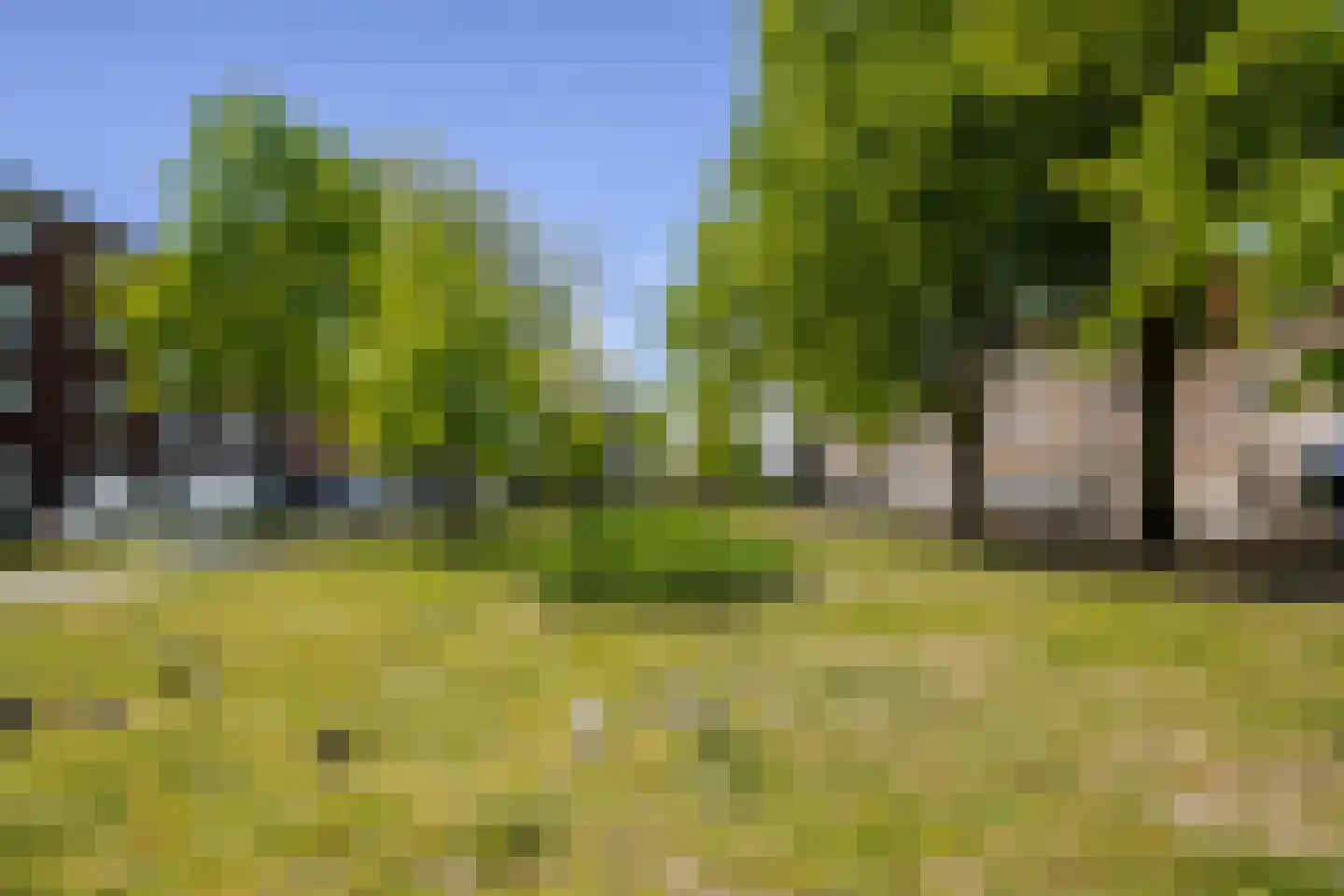 Delftselaan 143 Den Haag thumbnail 4