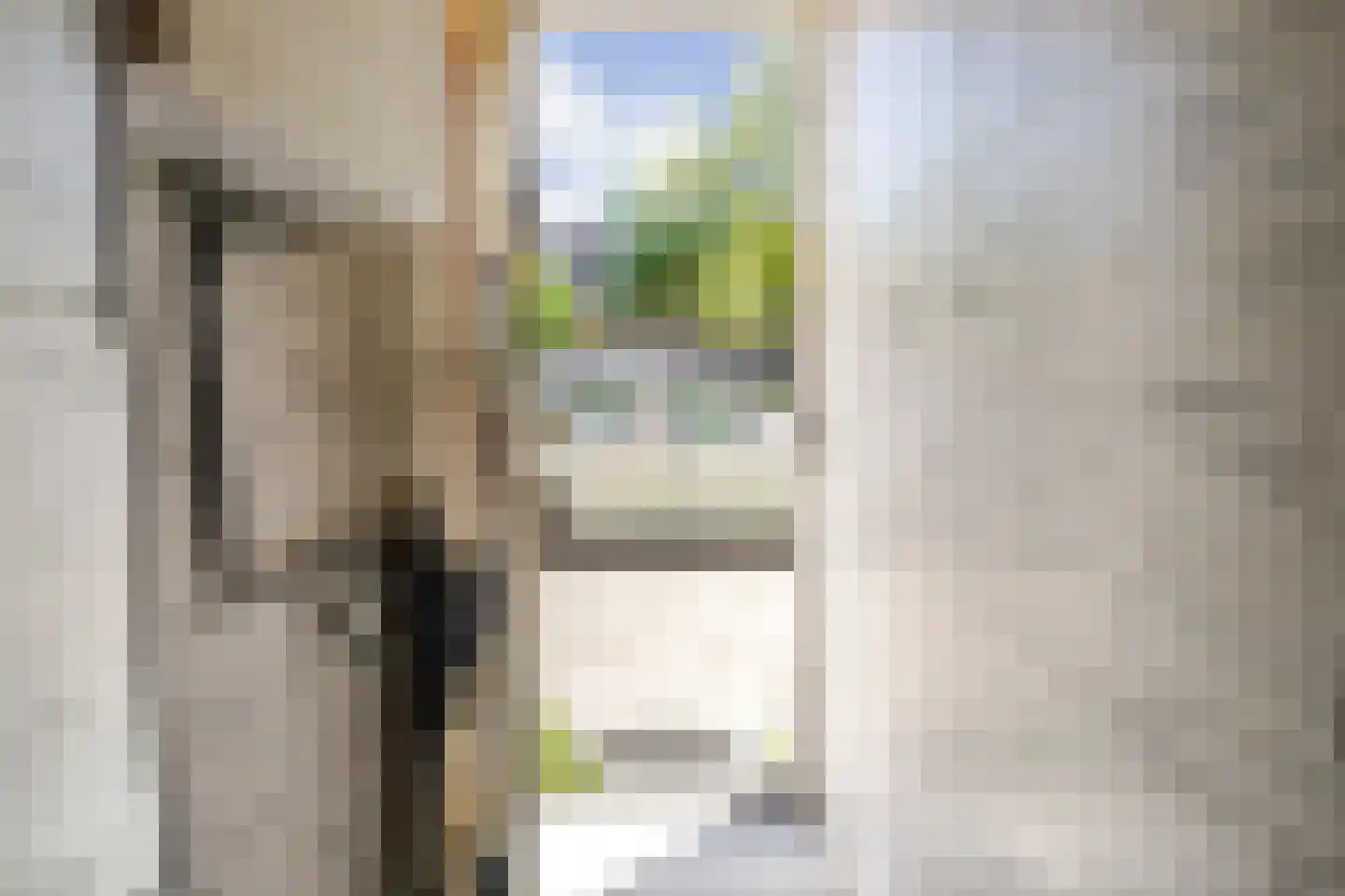Delftselaan 143 Den Haag thumbnail 9