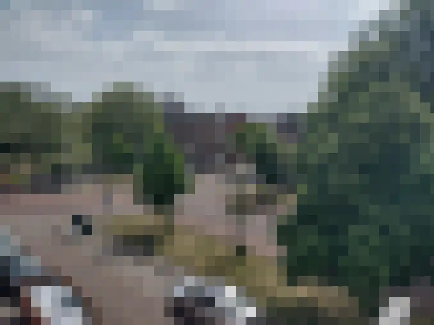 Delftselaan 153 Den Haag thumbnail 5
