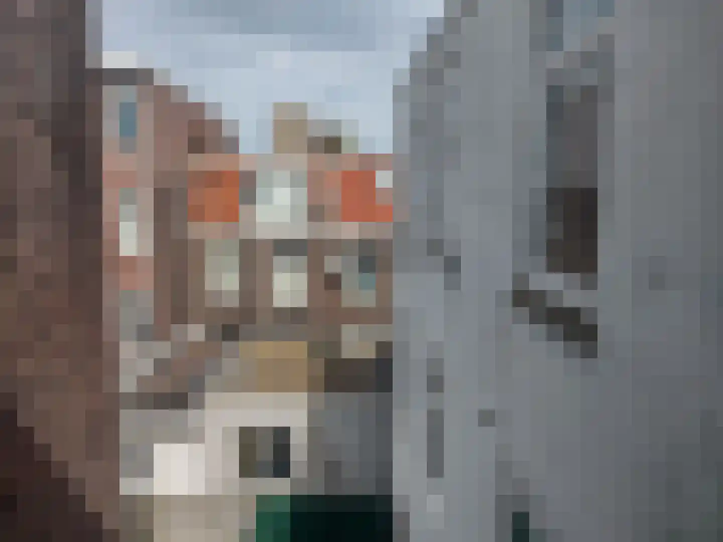 Delftselaan 153 Den Haag thumbnail 6