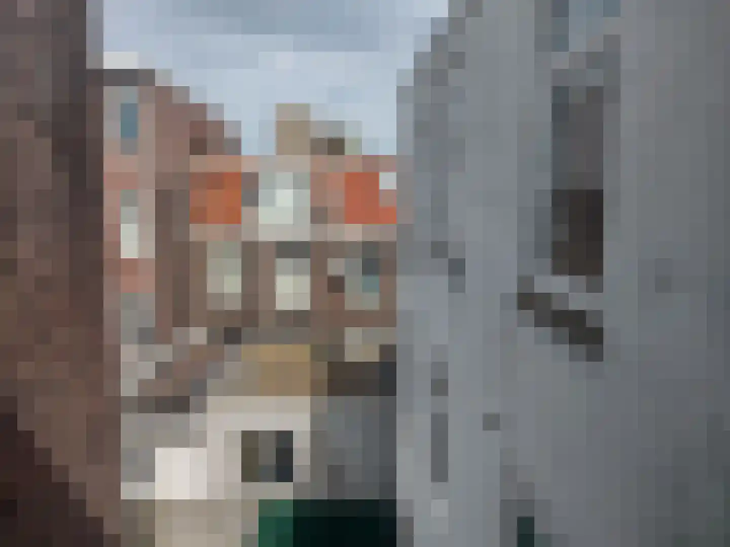 Delftselaan 153 Den Haag thumbnail 9