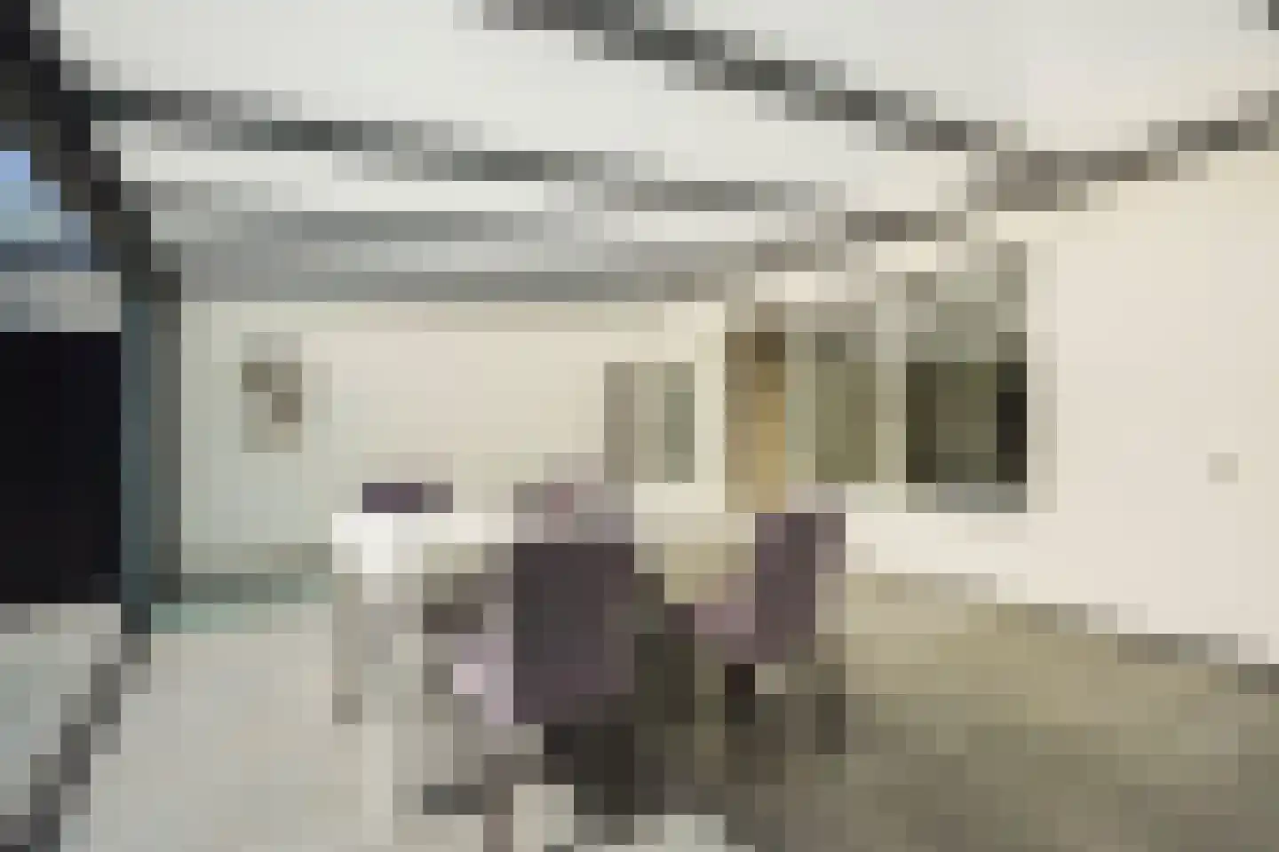 Delftselaan 72 Den Haag thumbnail 16