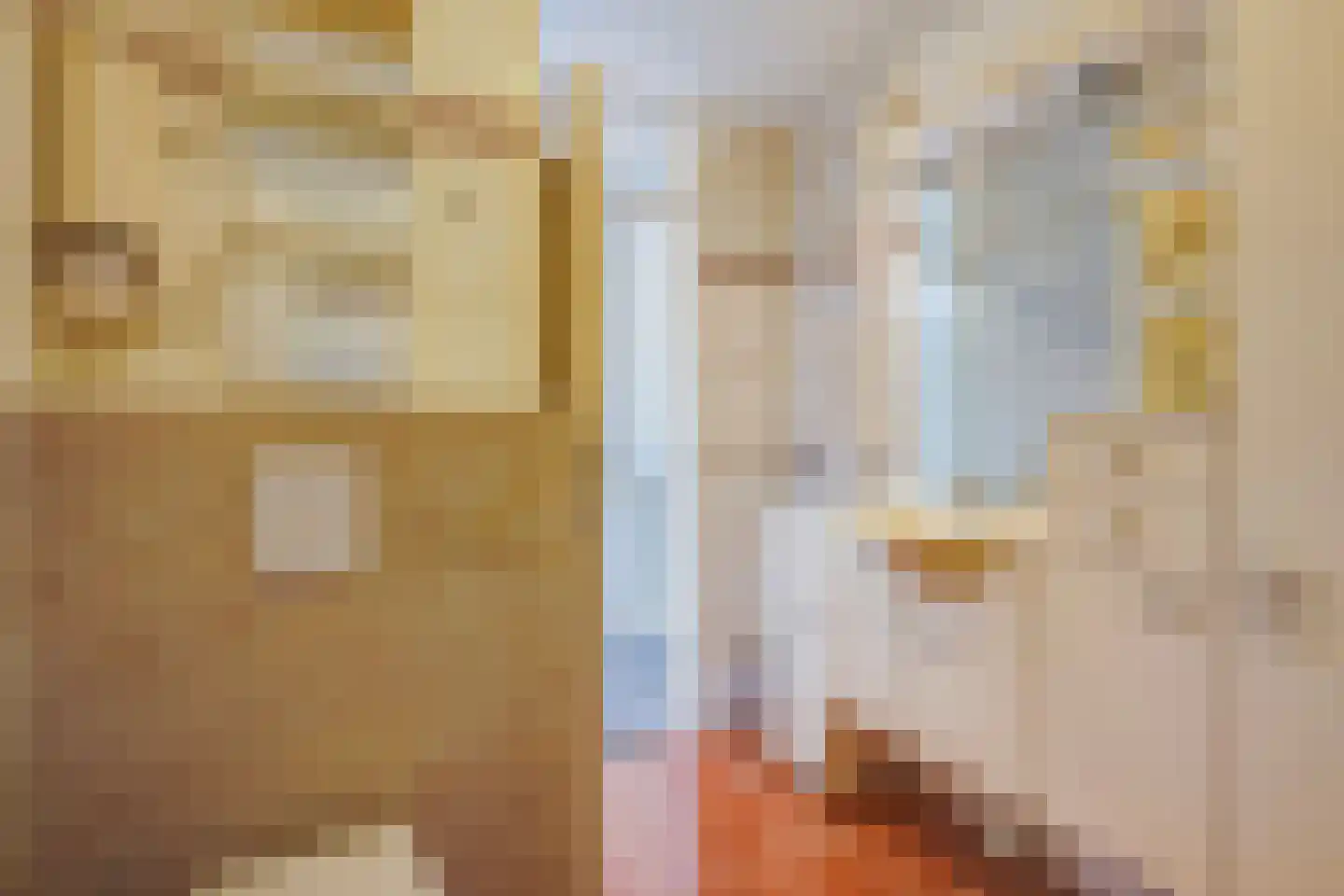 Delftselaan 72 Den Haag thumbnail 26