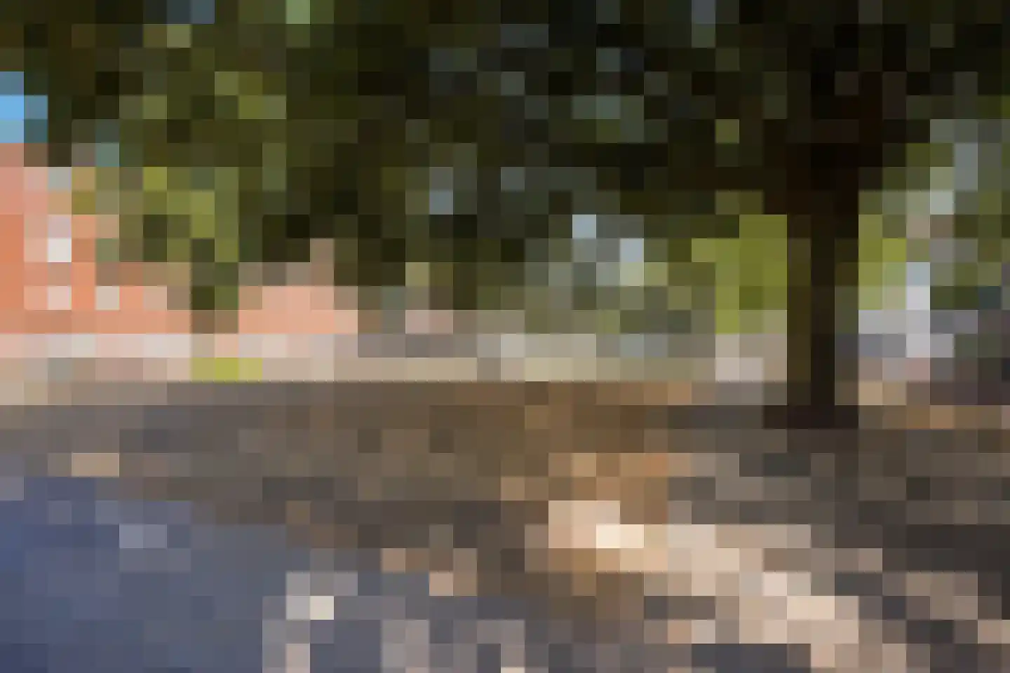 Delftselaan 72 Den Haag thumbnail 35