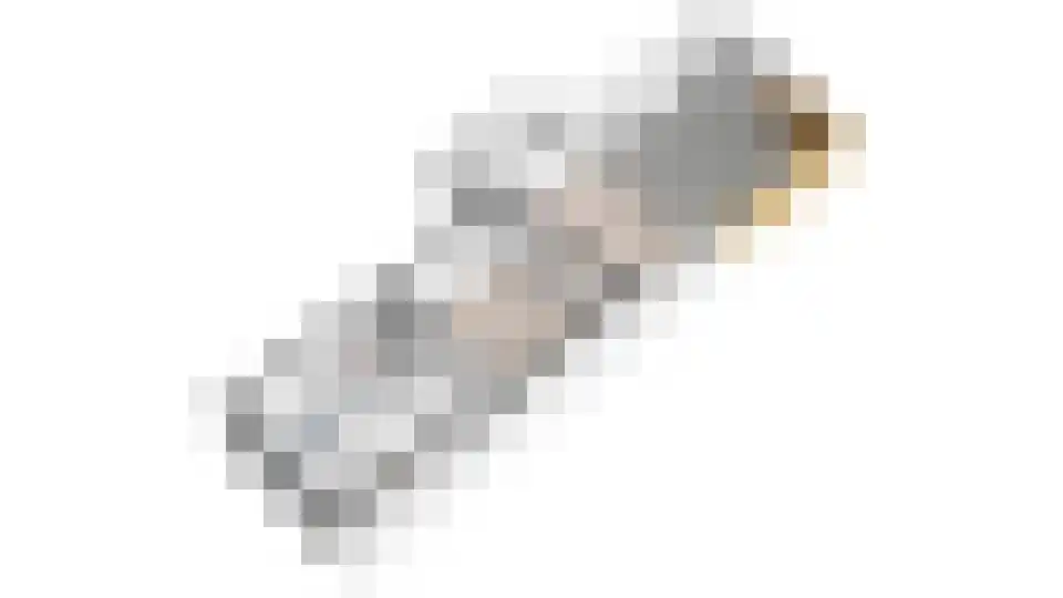 Delftselaan 72 Den Haag thumbnail 37