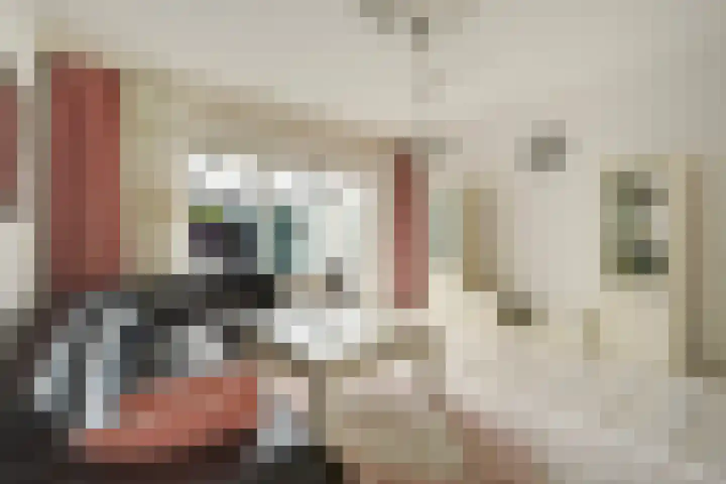 Delftselaan 72 Den Haag thumbnail 5