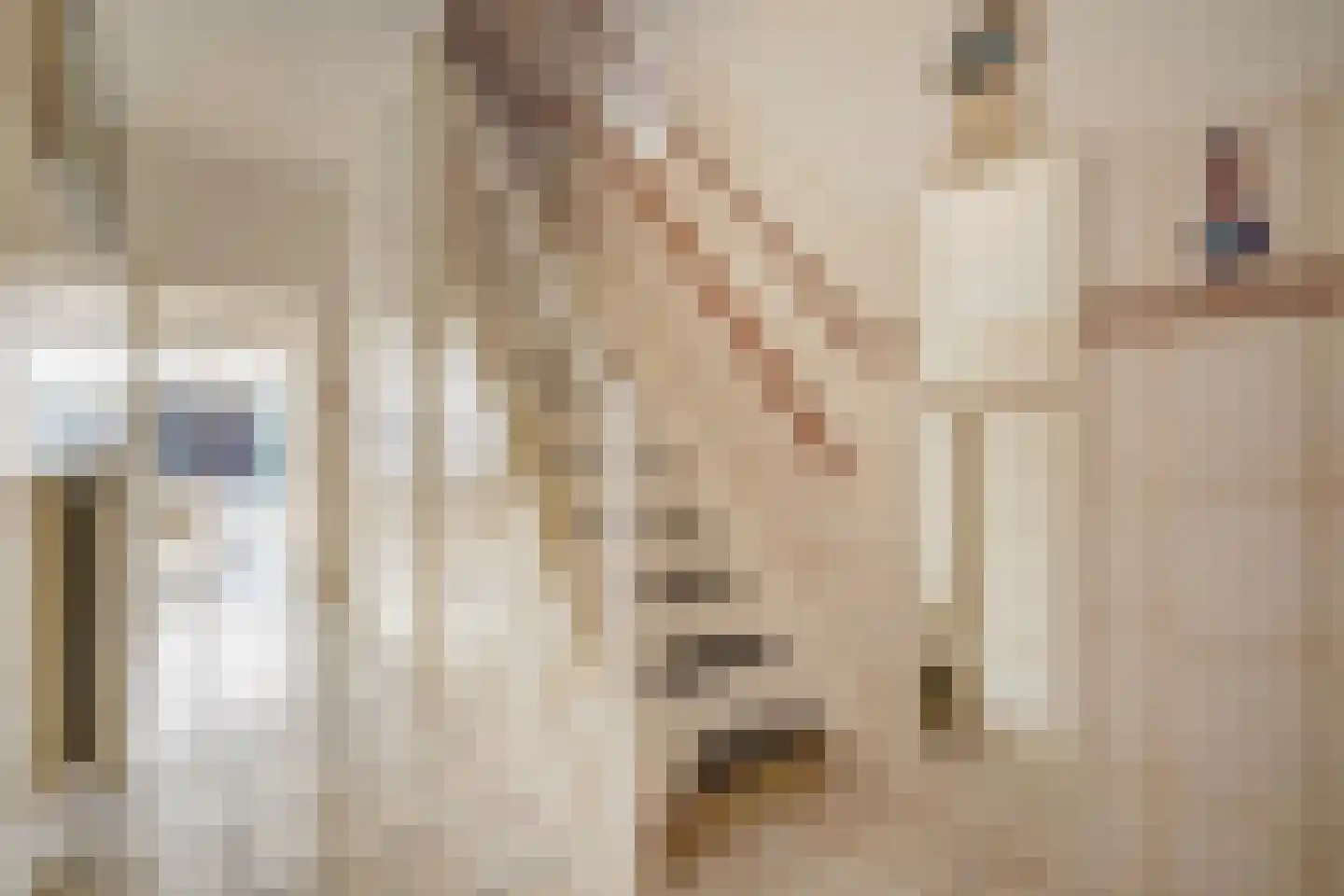 Delftselaan 72 Den Haag thumbnail 7