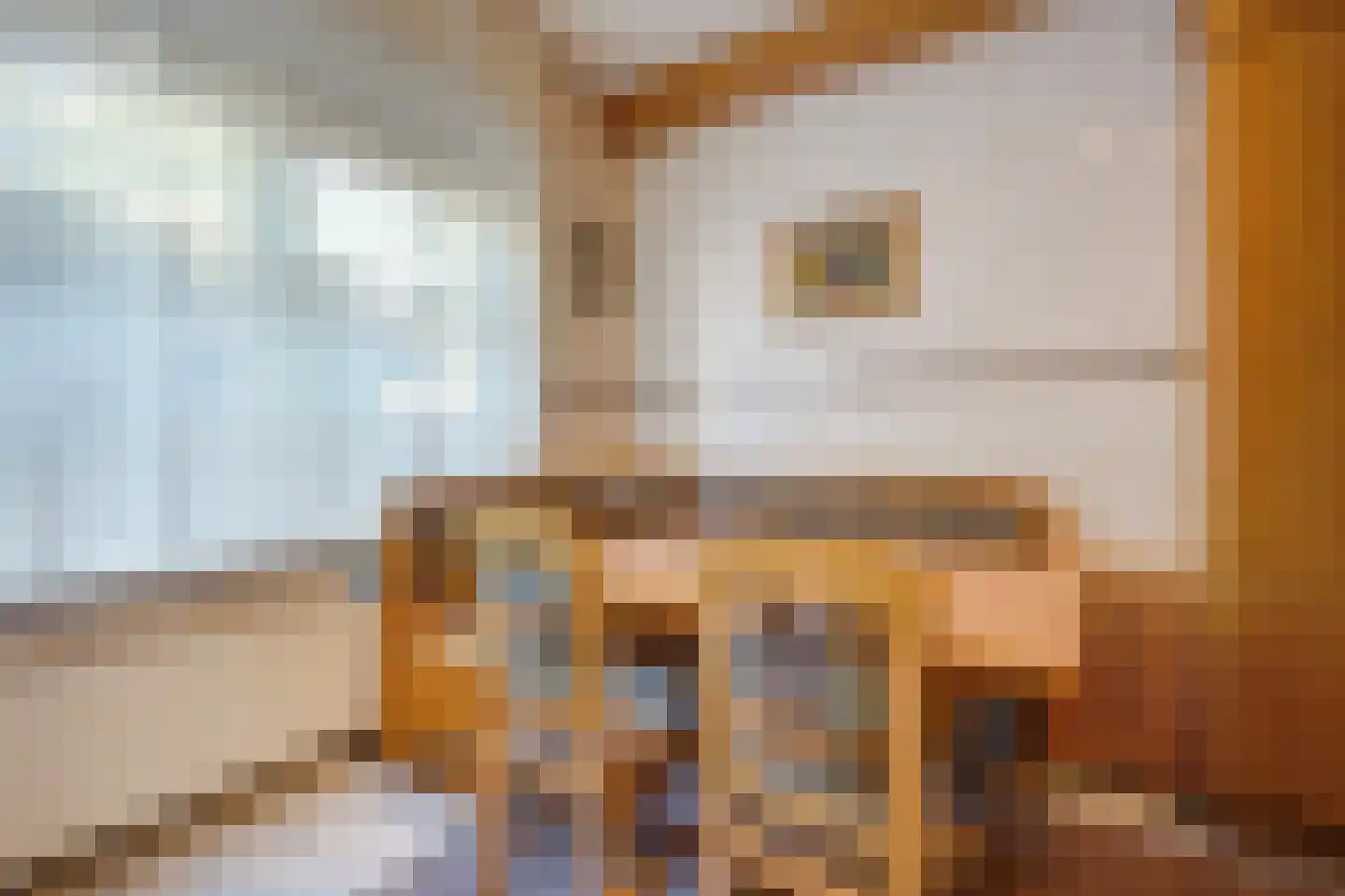 Delftselaan 72 Den Haag thumbnail 8