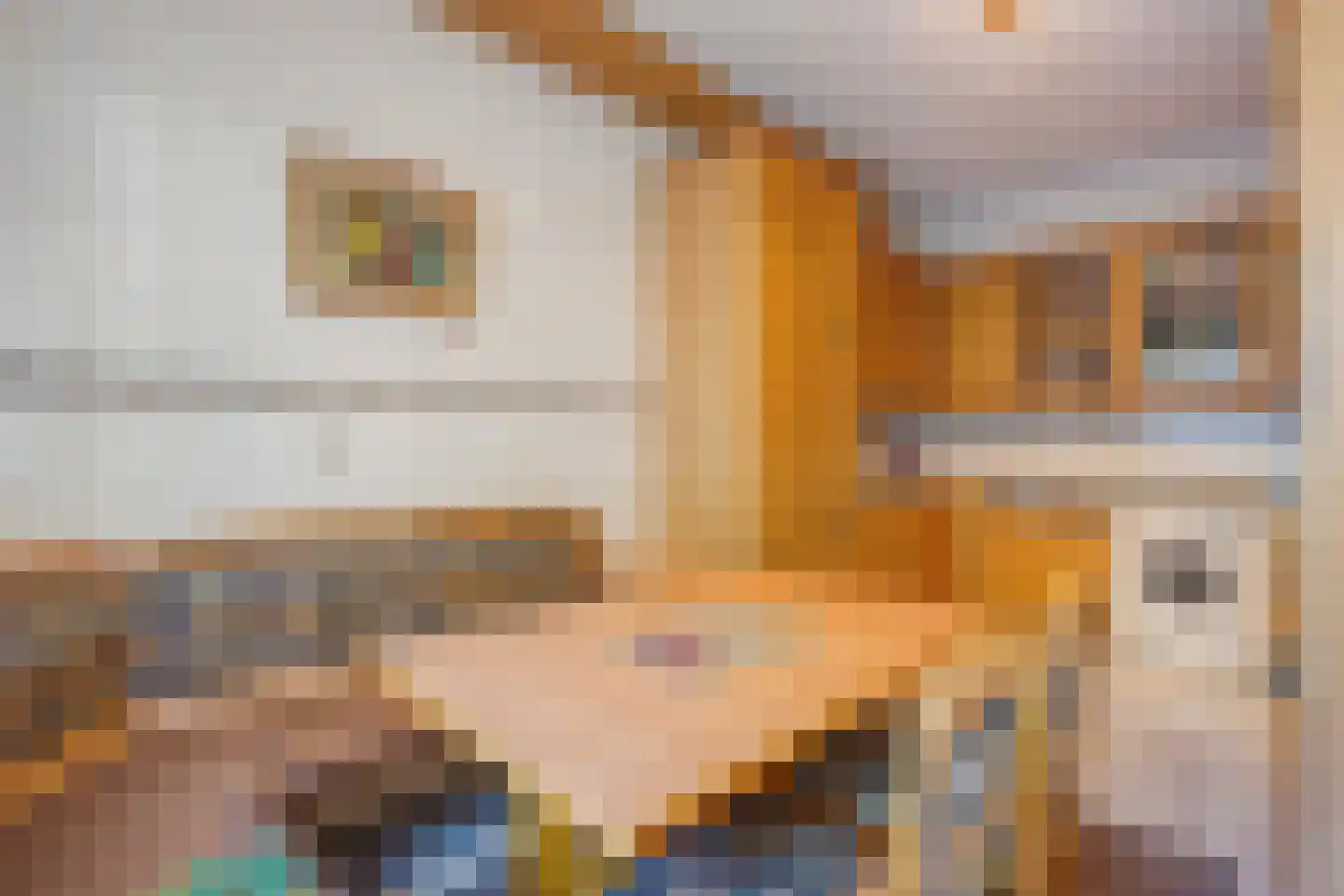 Delftselaan 72 Den Haag thumbnail 9