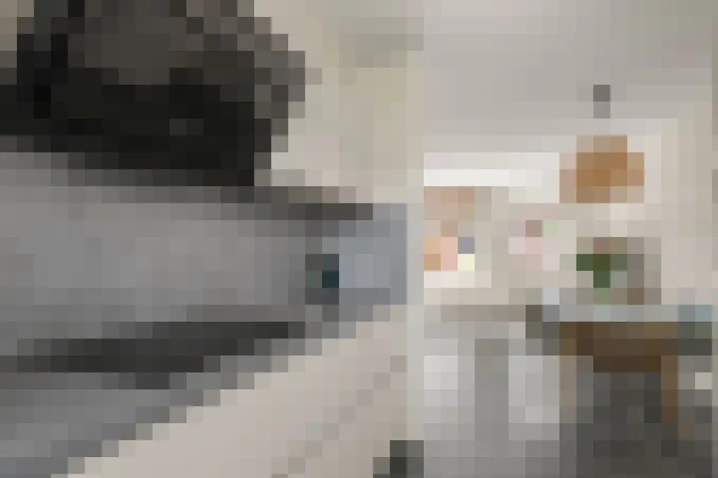 Delftseschans 10 Nieuwegein thumbnail 12