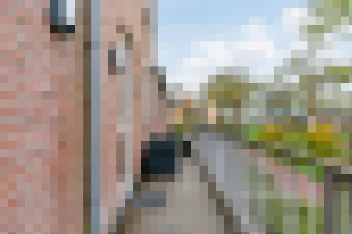 Delftseschans 22 Nieuwegein thumbnail 28