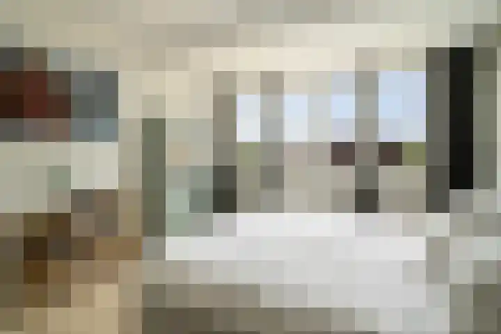 Delftsestraatweg 10 Pijnacker thumbnail 32