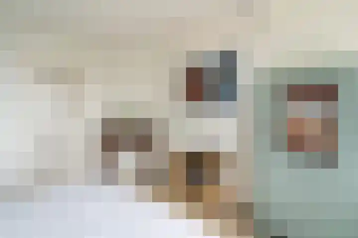 Delftsestraatweg 10 Pijnacker thumbnail 34
