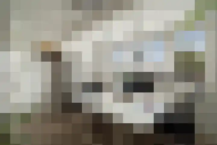 Delftsestraatweg 10 Pijnacker thumbnail 35