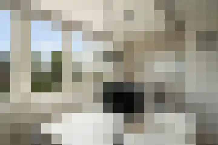 Delftsestraatweg 10 Pijnacker thumbnail 36