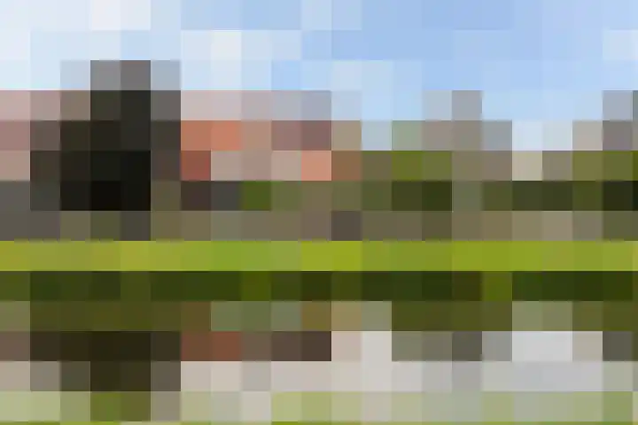 Delftsestraatweg 10 Pijnacker thumbnail 5