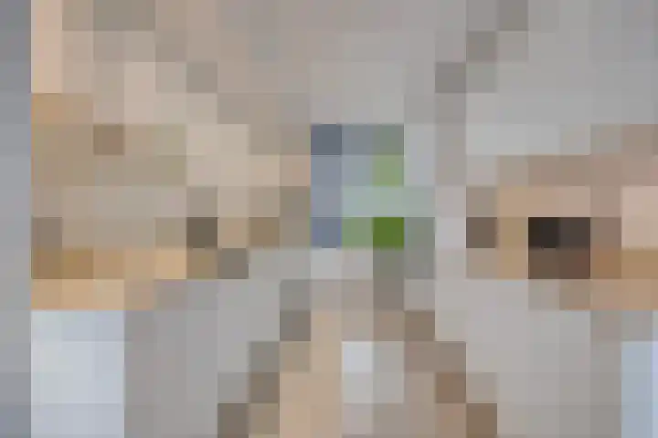 Delftseveer 46 Rotterdam thumbnail 8