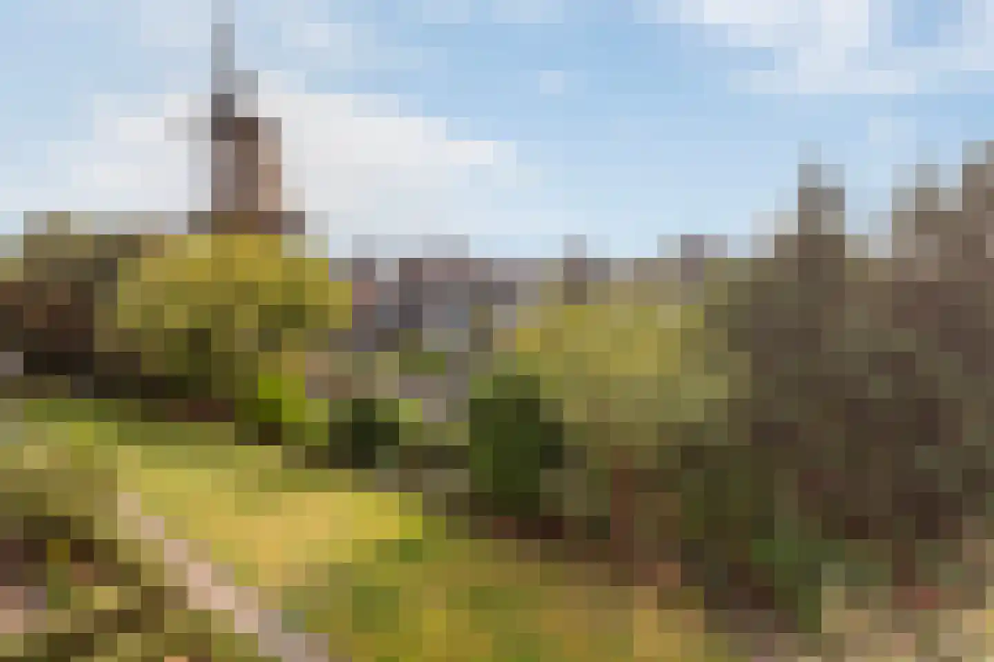 Delftseveerweg 13 B Vlaardingen thumbnail 11