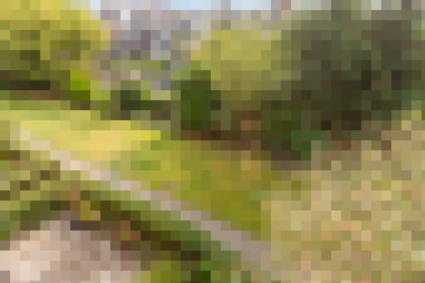 Delftseveerweg 13 B Vlaardingen thumbnail 13